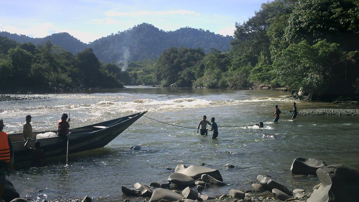 kayan river, kayan mentarang, heart of borneo, jungle, trek, hike, forest, rain forest, dayak, culture, krayan, borneo, indonesia, flora, fauna, tour, trip, adventure, safari, wildlife