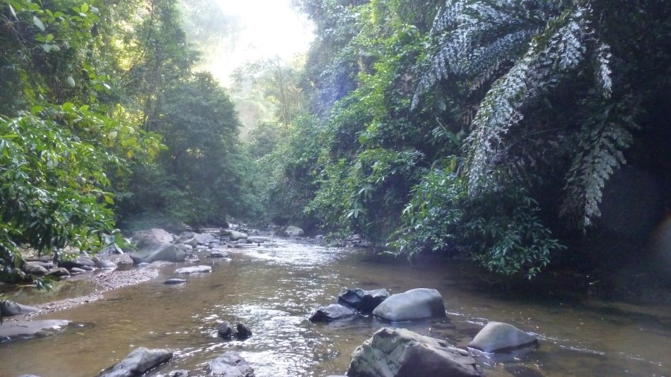 SetulangJungle forest trek, with the village Desa Setulang as the Tradition of the Dayak Kenyah and Dayak Punan tribe at Kalimantan Kayan Mentarang Safari Trips, Borneo Kayan Mentarang Park trips