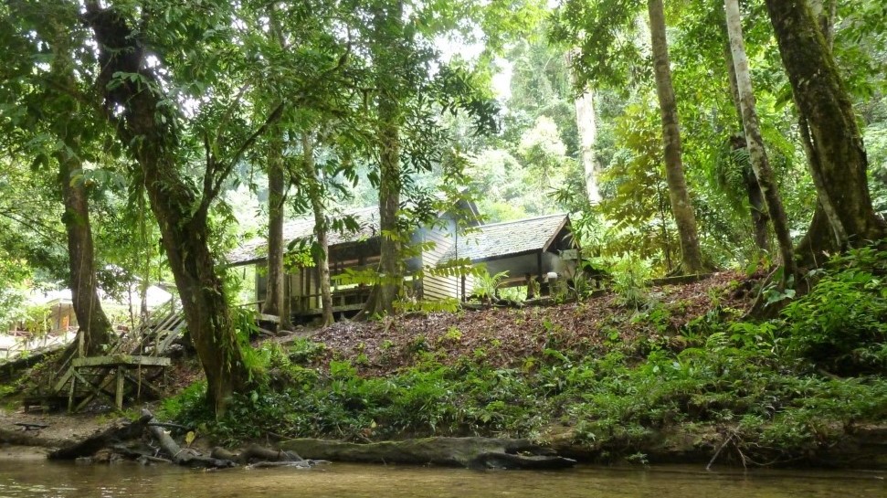 Kalimantan Kayan Mentarang & River Dayak Culture Tours, KayanMentarang Wildlife Safari Trips, Setulang Borneo Kayan MentarangNational Park Rainforest Jungle Trekking