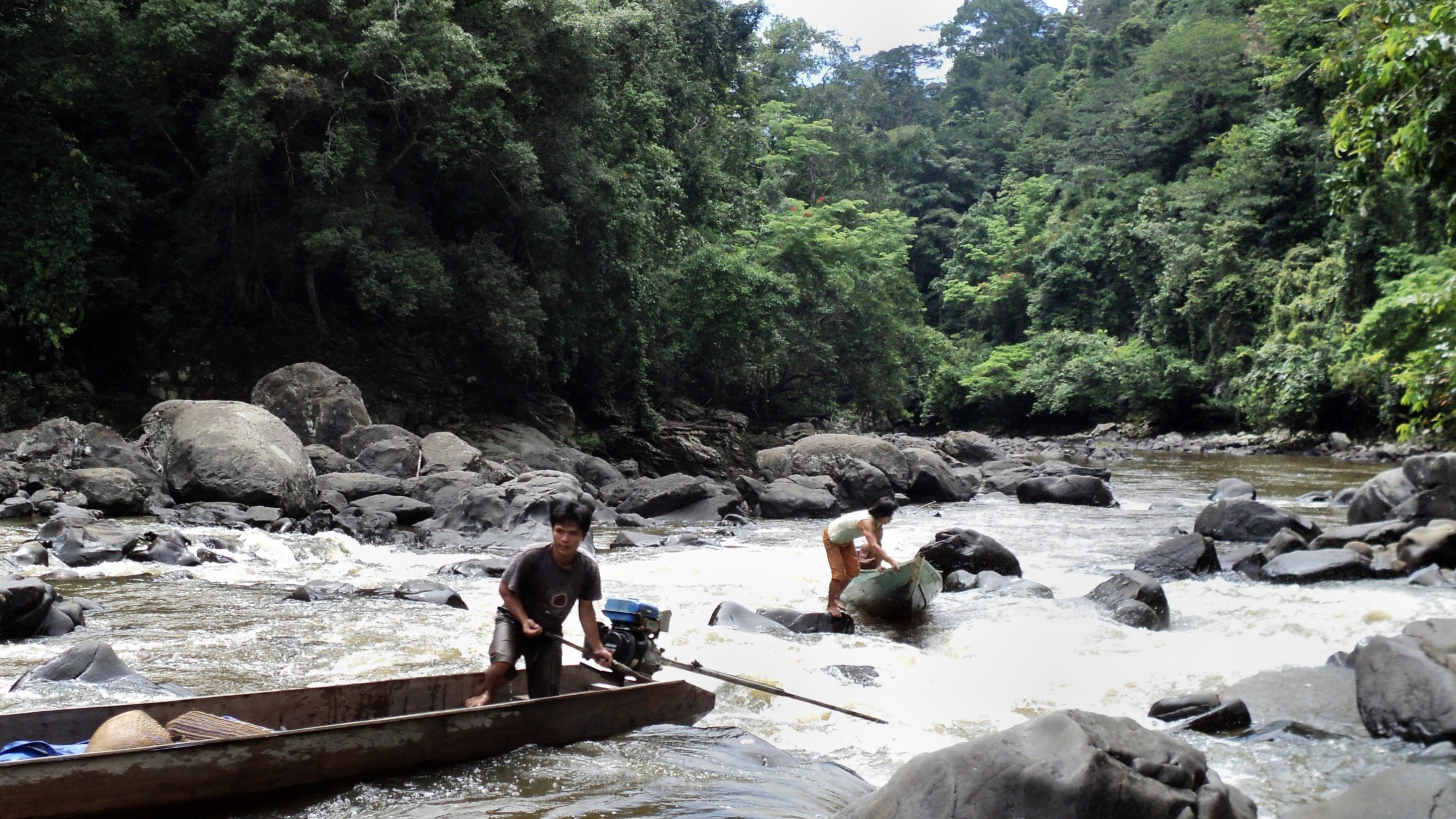 kayan river, kayan mentarang, borneo, kalimantan, indonesia, jungle, forest, flora fauna, hike, trek, tour, trip, expedition