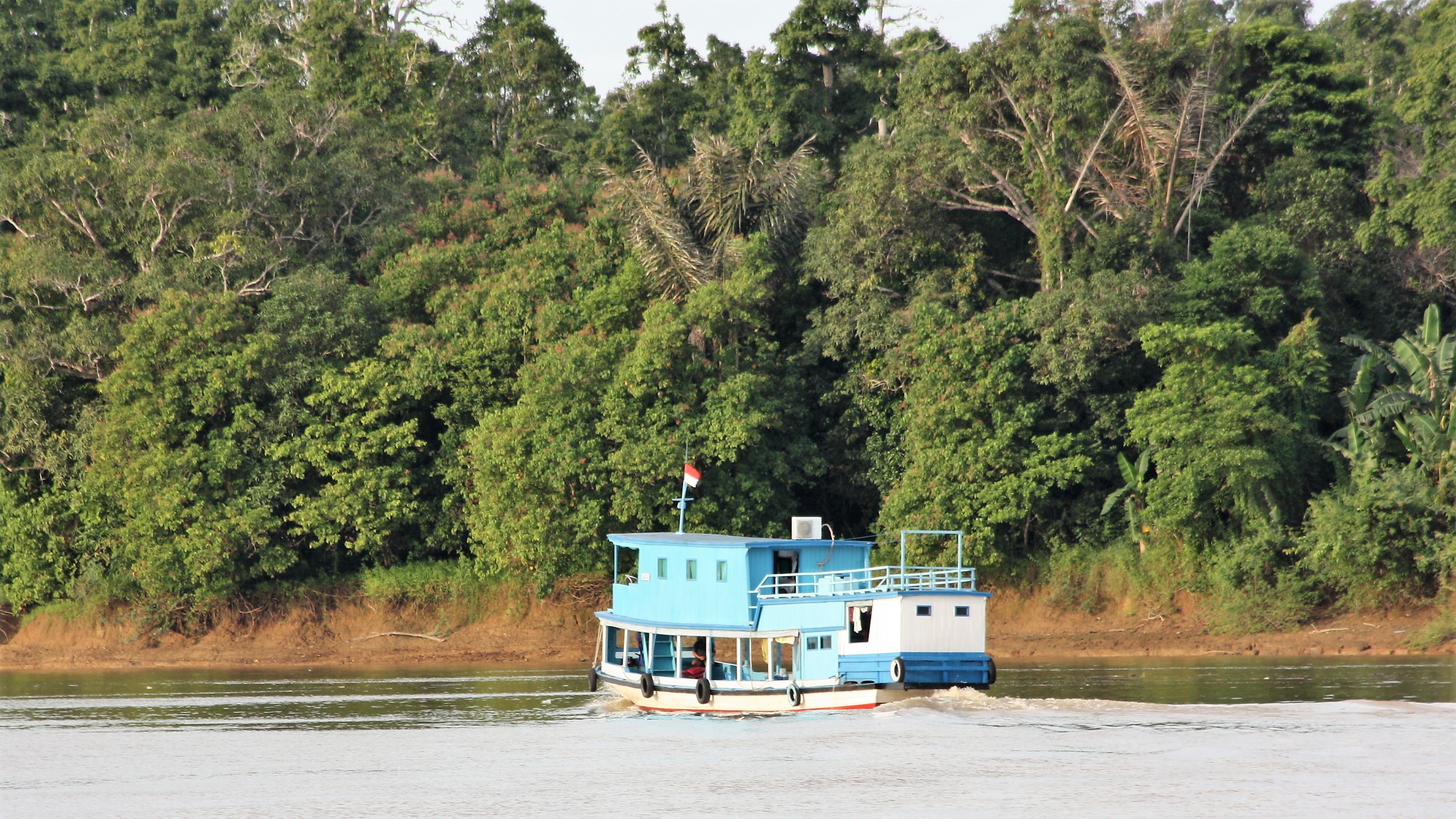 Mahakam River Cruise, Mahakam River tour, Mahakam river rain forest, borneo, kalimantan, dayak culture, journey, tours, trip, safari, wildlife, expedition, kalimantan, indonesia